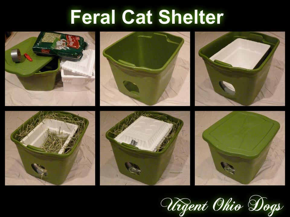 Homemade Outdoor Feral Cat Shelter